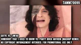 Gotye Vs. Lmfao - Somebody That I Used To Know Vs. Party Rock Anthem Mashup Remix