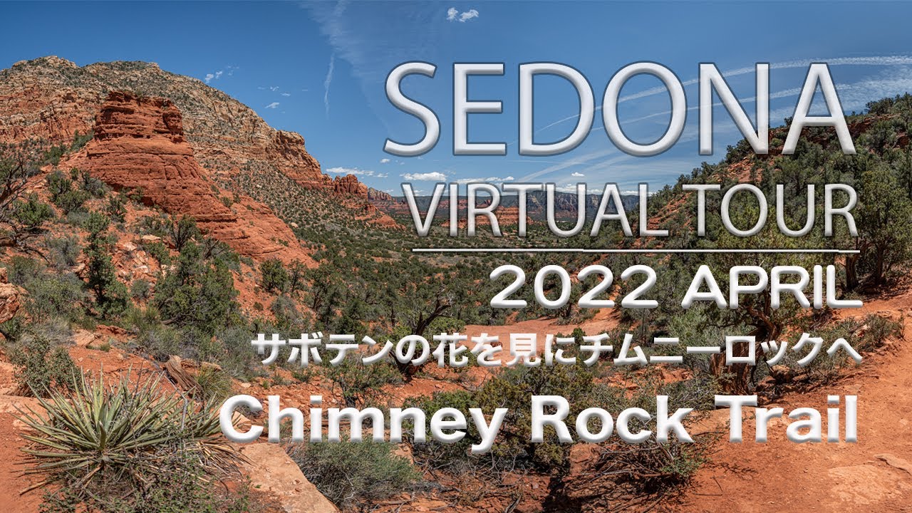 22 4 24 Chimney Rock Trail 野草の花を見つけに行きました Youtube
