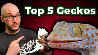 Top 5 BEST Geckos | Perfect Pets In A Small Package! screenshot 5