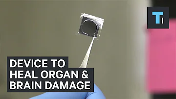 Device Could Heal Organs And Brain Injuries In Seconds