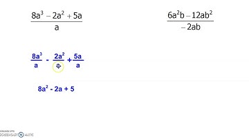 Dividing Poly by Mono