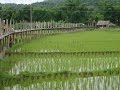 Bamboo Bridge, Su Tong Pae Bridge, Pang Mu, Mae Hong Son, Thailand