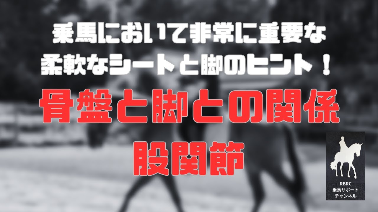 【乗馬・馬術】骨盤と股関節の関係・脚とシートの改善のヒントとちょっとエクササイズ
