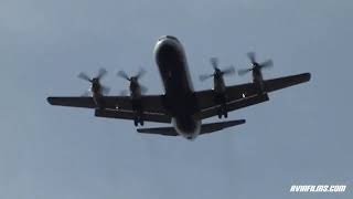 Planespotting Hawker 800, Lockheed Electra, AW139, B737, A319, Jetstream landing
