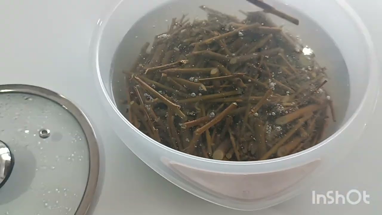 Köklendirme hormonu hazırladık. #hormon #köklendirme #tarım #sera #bitkibakımı 