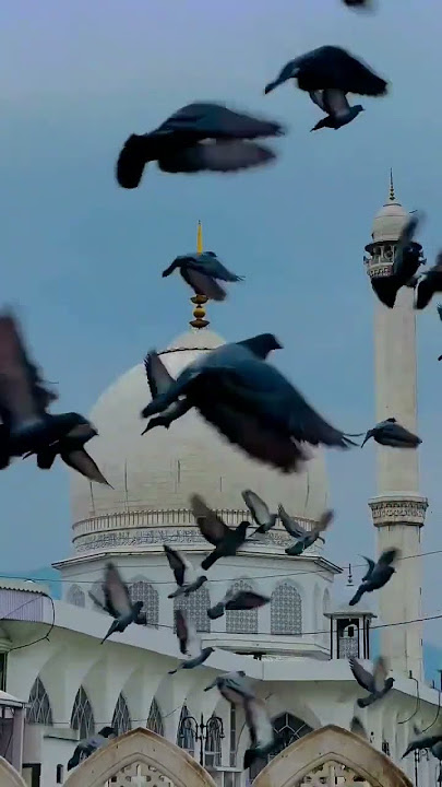 🌹 Darood o Salam 🌙 | Heart Touching Naat Sharif #DaroodOSalam #NaatSharif #IslamicVideo