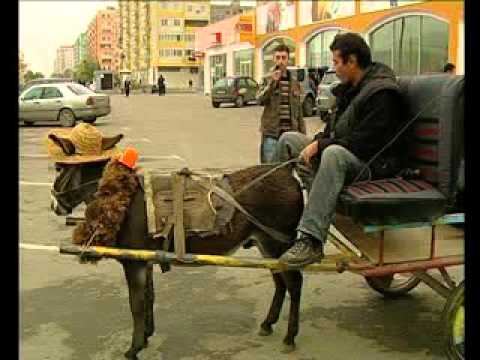 kaxeli taqsisti viriT - აჩუუუუ ტაკსიიიიი  მაგარიი