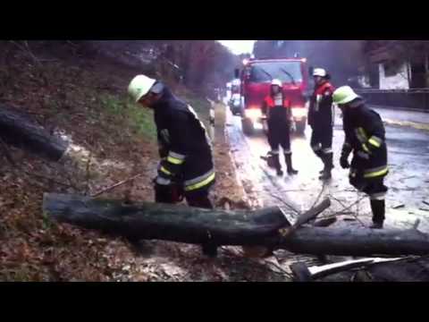 Mölln: Regionalzug fährt in umgestürzten Baum und springt aus den Schienen