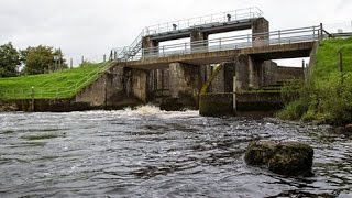 Ballintra gates; migration barrier with inadequate fish pass