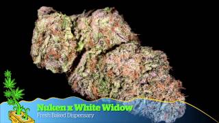 2014 HIGH TIMES Denver US Cannabis Cup Hybrid Entries