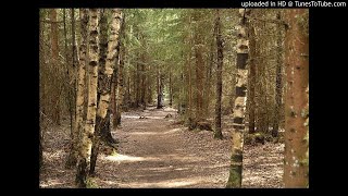 (FREE FOR PROFIT) sad guitar loop 'overwhelmed ' / free loop / sample! 149 bpm A# major