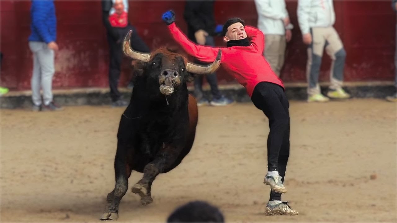 INCREIBLE MAÑANA EN SANSE 2026! SEGUNDO ENCIERRO BLANCO, CAPEA Y TRANSHUMANCIA | Toros de El Cotillo