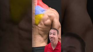 His HIDDEN Back Muscle!😳