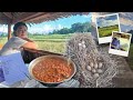 Harvest Day on the Farm! | cait to the lin