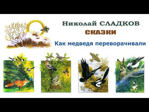 Николай Сладков 'Как
