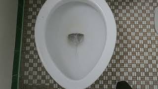 1967 Crane Speedway toilet