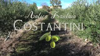 Olio Extra Vergine Costantini