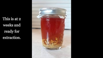 Propolis Tincture