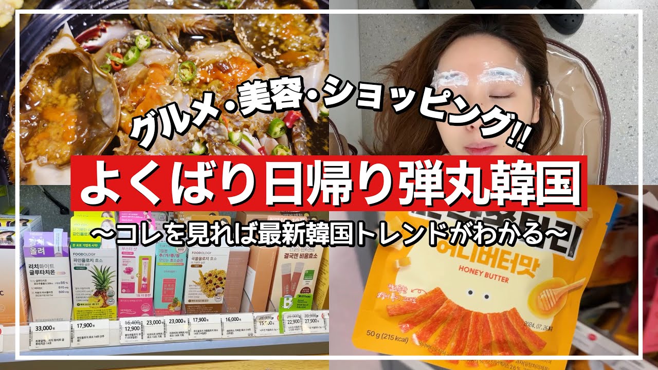 【韓国旅行】弾丸日帰り‼️女ひとり旅❤️アートメイク/カンジャンケジャン/オリーブヤングetc【韓国最新スポット】