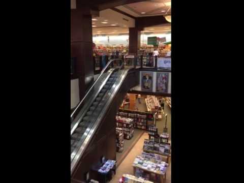 Barnes & Noble Employee blocks exit Elevator with dog