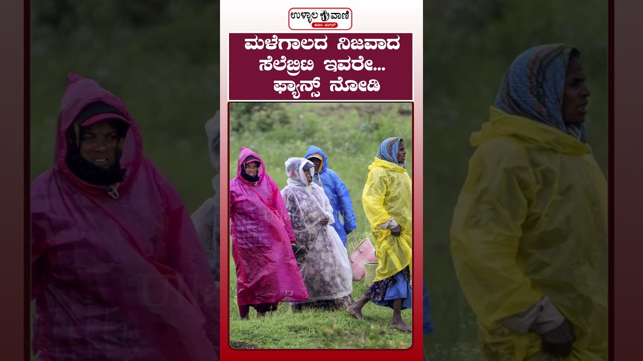 ಮಳೆಗಾಲದ ನಿಜವಾದ ಸೆಲೆಬ್ರಿಟಿ ಇವರೇ... ಫ್ಯಾನ್ಸ್ ನೋಡಿ