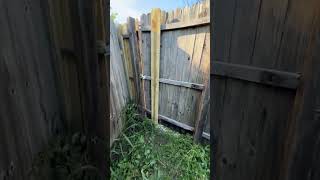 Affordable fence and gate repairs #Gillahomeservices #GHS #handyman #rowlett #dfw