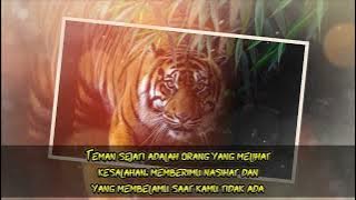Story WA Harimau Loreng | #3