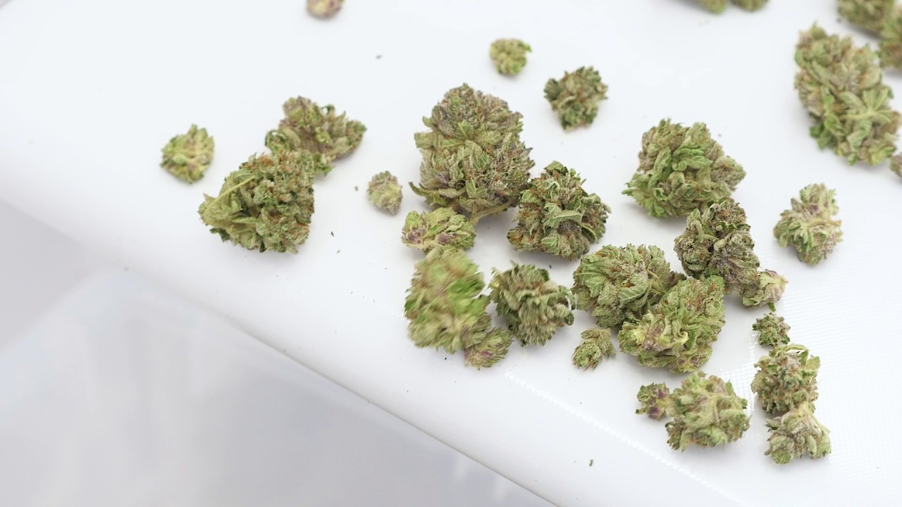 Twister T2  - Quality Control Conveyor