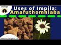 Impila (Amafuthomhlaba) Uses