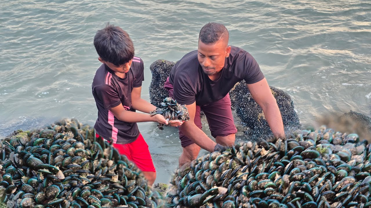 ഇത്ര എളുപ്പത്തിൽ ഇതെടുക്കുവാൻ പറ്റുമെന്നു വിചാരിച്ചില്ല. ./Blue Mussels. .