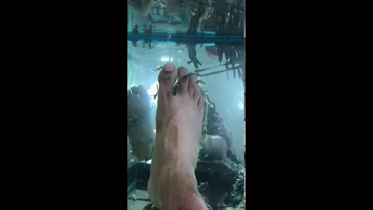 Fish Foot Massage & Pedicure