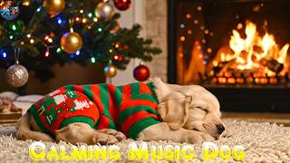 12H Calming Music for  Dog With Anxiety 🐶🐾 Soothing Sounds For Deep Sleep, Healing Insomnia,Relaxing