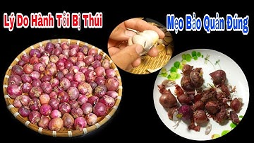 Mẹo Bảo Quản HÀNH TỎI 1 Năm Không Hư Không Bị Móc Thúi Mọc Mầm