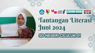 Tantangan Juni - Aksel Fricilla Julian