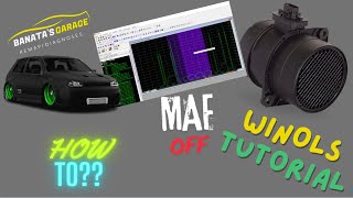 MAF OFF - How to remove maf on 1.9TDI 131 150 asz,arl with winols