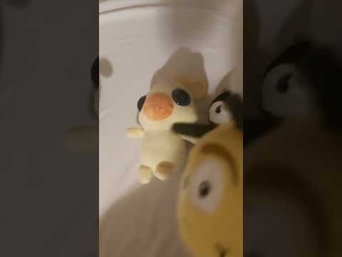 pszczółek 🐝🐥