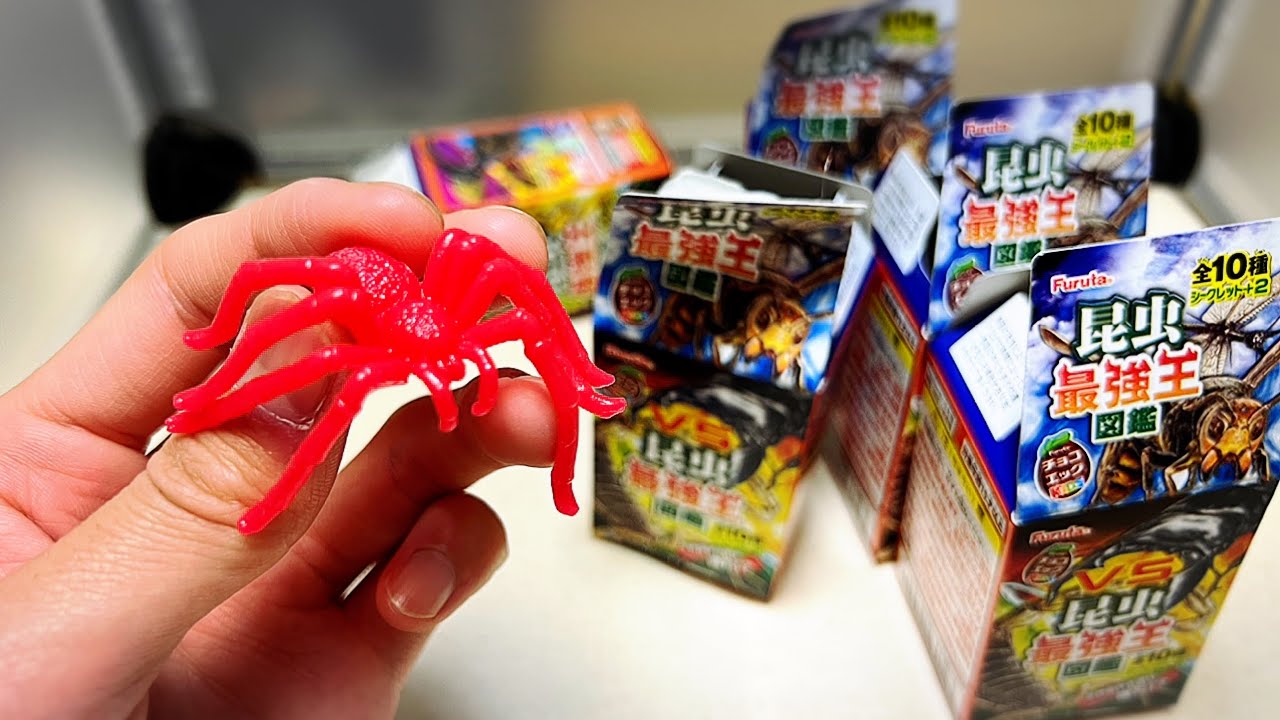 世界一強力な毒を持つクロドクシボグモ チョコエッグ昆虫最強王図鑑開封 258 Youtube