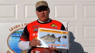 Where And Bait To Use To Catch Different Fish