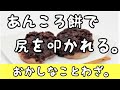 【ツッコミ】世界のおかしなことわざがおかしかったですw
