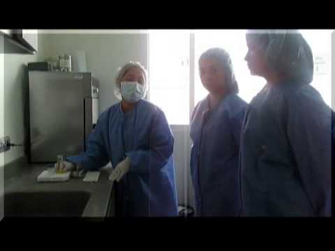 Escherichia coli Escherichia coli