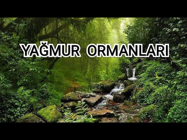 30 yaş üstü arkadaşlık sitesi tuerke bakire bozma