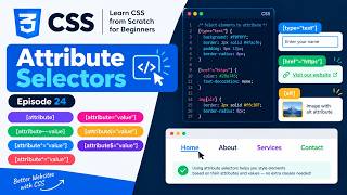 CSS Attribute Selectors | How to Select HTML Elements by Attributes – Episode 24