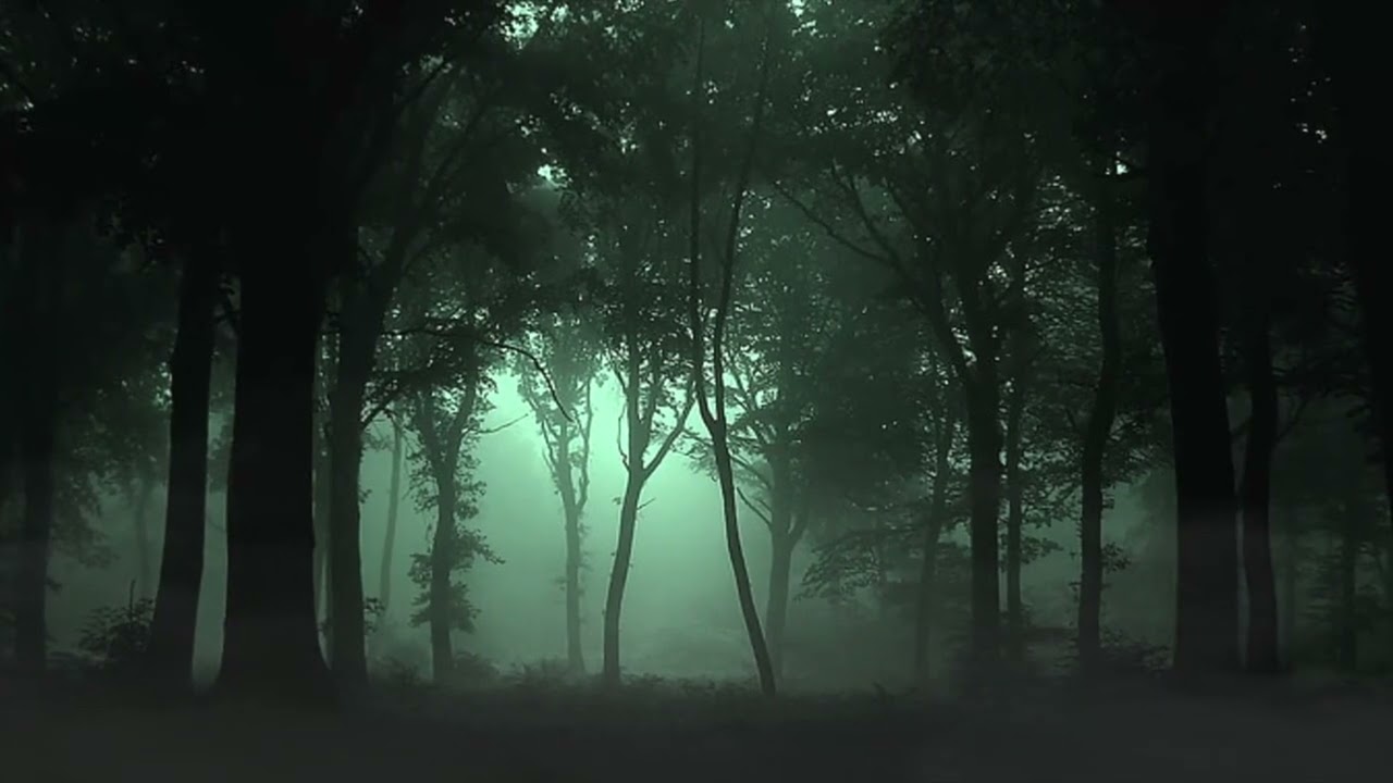 Introdução Documentário do Slenderman.