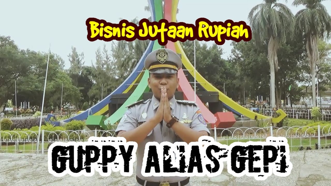 CERITA BUDIDAYA IKAN GUPPY/GEPI l Kewirausahaan Taruna Ahli Perikanan