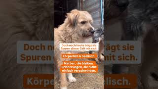 Zu unperfekt, um geliebt zu werden?🥺