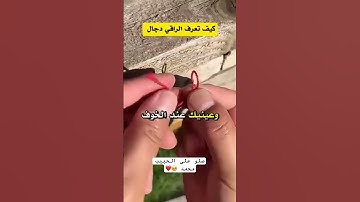 #ارح_قلبك #استغفرالله #راحة_نفسية #اجر_لي_ولك #القرآن_الكريم #تلاوة_خاشعة #صلوا_على_النبي
