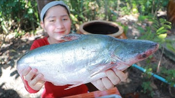 Tasty Pangasius Fish Cooking Ginger Recipe - Cooking With Sros