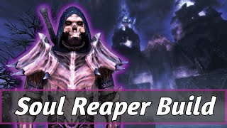 The Soul Reaper - Skyrim Necromancer Warrior Build