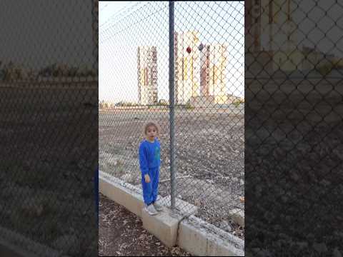 WE FOUND AN EGG STUCK ON THE WIRE Alinecati Shorts Explore Youtubeshorts Exploremehighlight