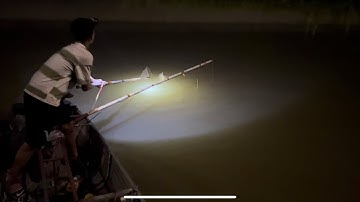 Đi test máy kích cá thả cáp thực tế ban đêm cá chép nổi dễ vớt